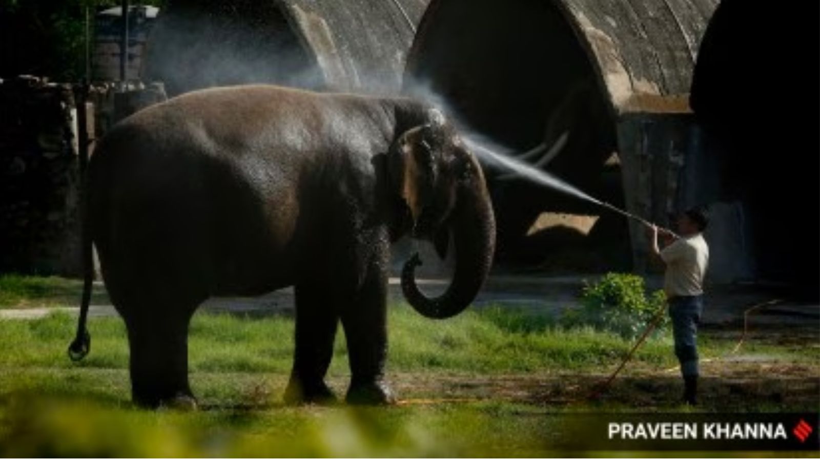 The Indian ExpressFive years after Covid outbreak, National Wildlife Health Policy takes shape​Nikhil Ghanekar