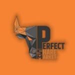 PERFECT SHARE MARKET